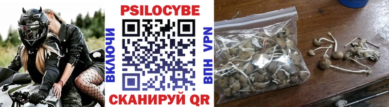 Псилоцибиновые грибы мицелий  Томмот 